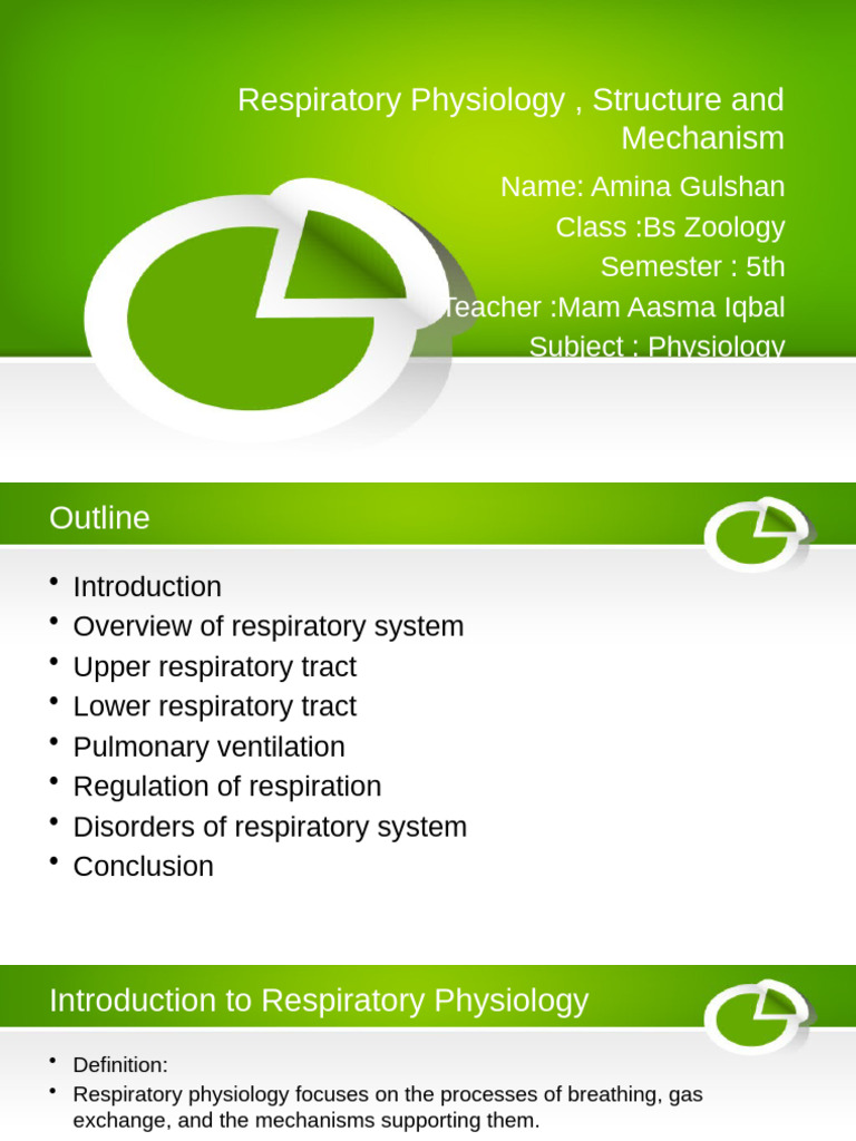 Respiratory Physiology Overview and Mechanisms | PDF | Respiratory ...