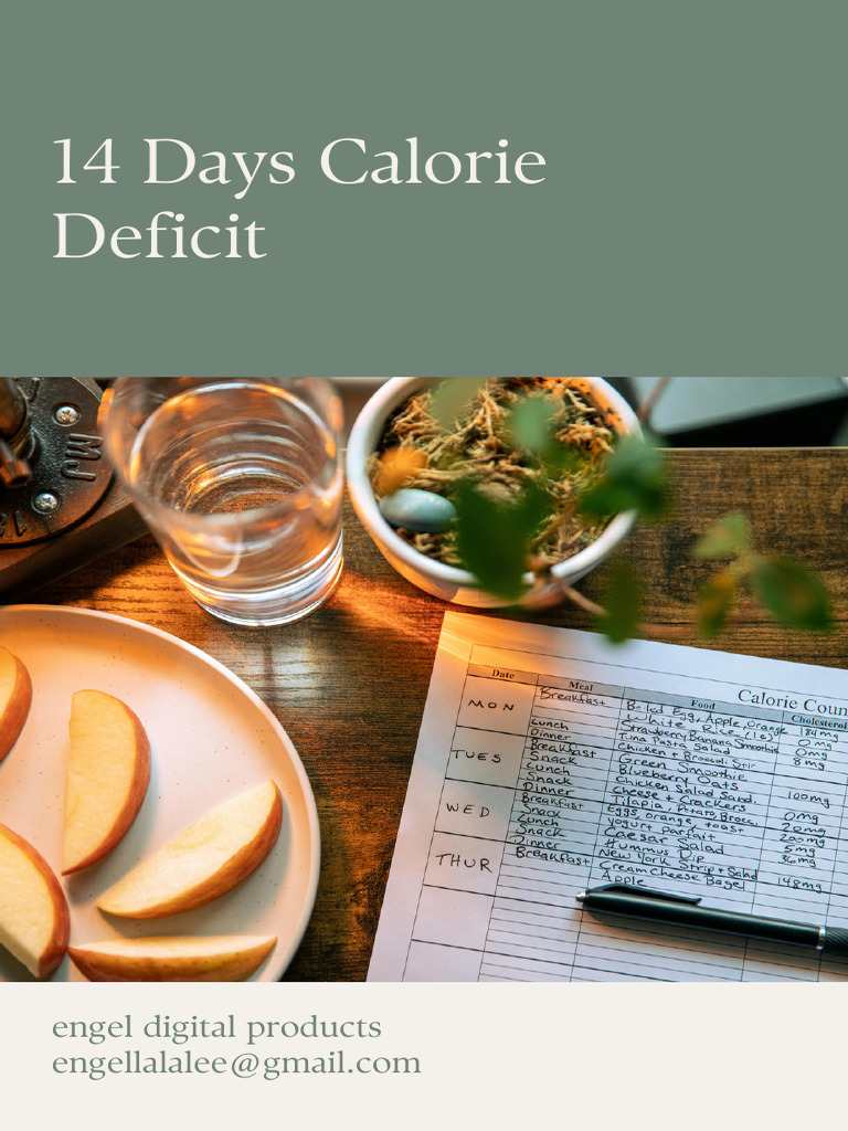 14-Day Calorie Deficit Meal Plan | PDF | Meal | Lunch