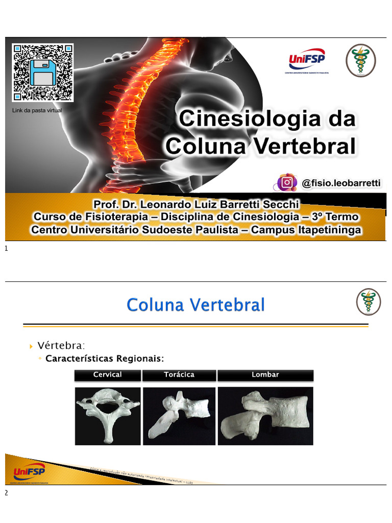 Anatomia da Coluna Vertebral | PDF | Coluna vertebral | Vértebra