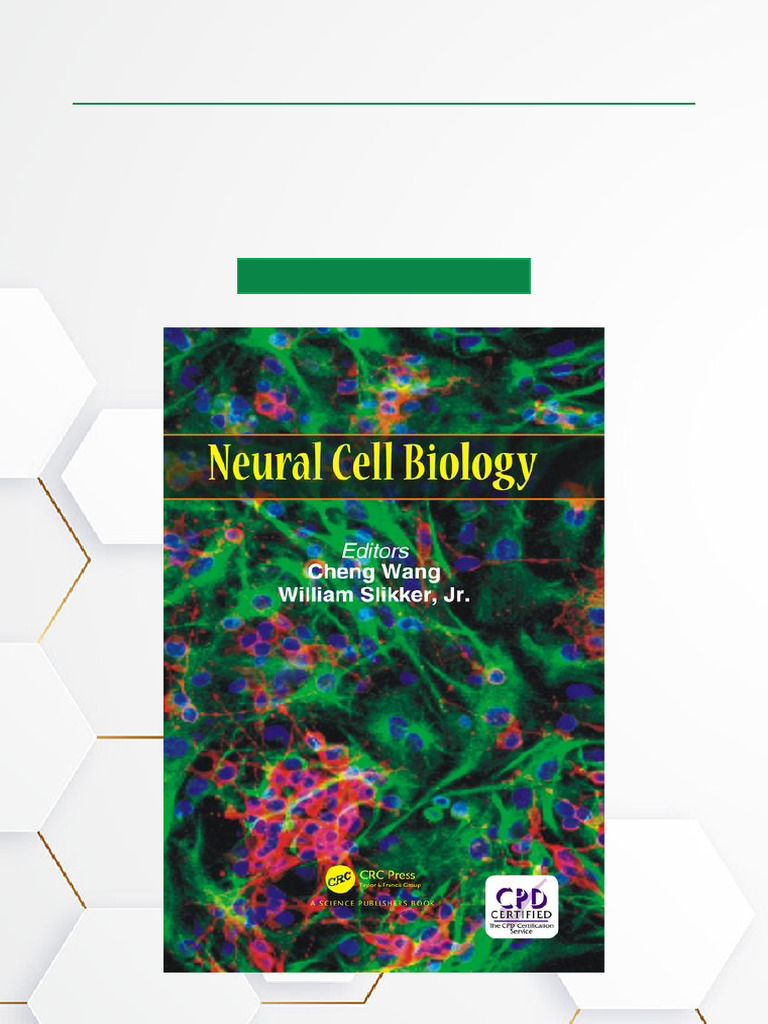 Neural Cell Biology 1st Edition DOCX PDF Download | PDF | Synapse ...