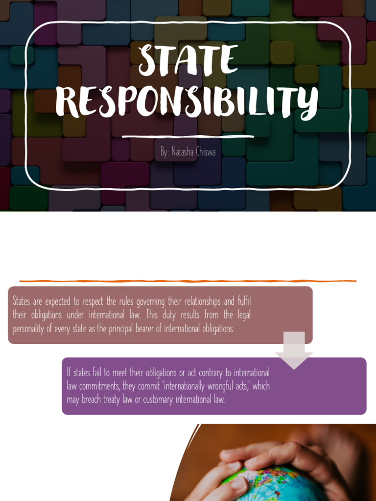 Understanding State Responsibility in Law | PDF | International Law ...