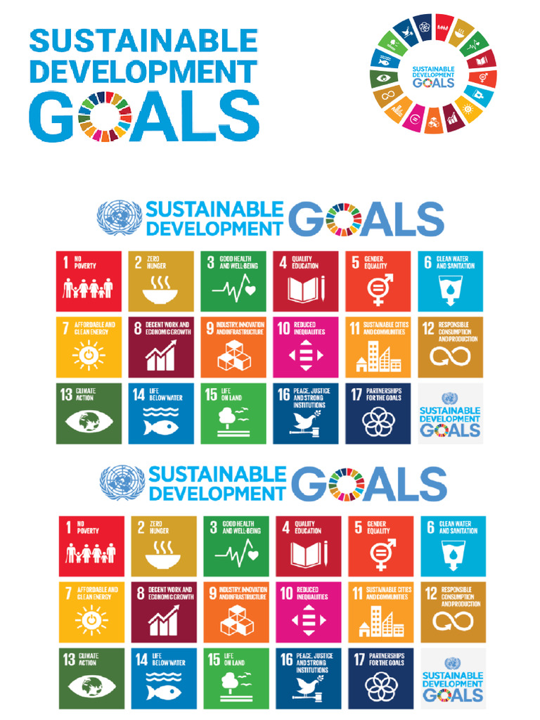 Sustainability Goal | PDF
