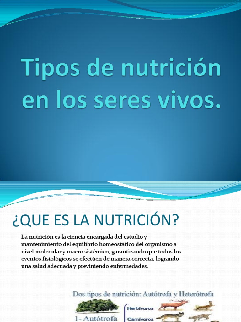 tipos de nutricion