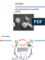 Toxoplasmosis