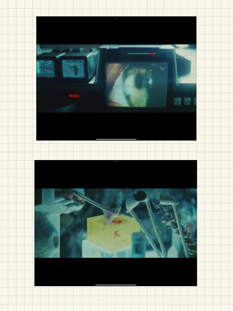 Blade Runner - Visual Motif | PDF