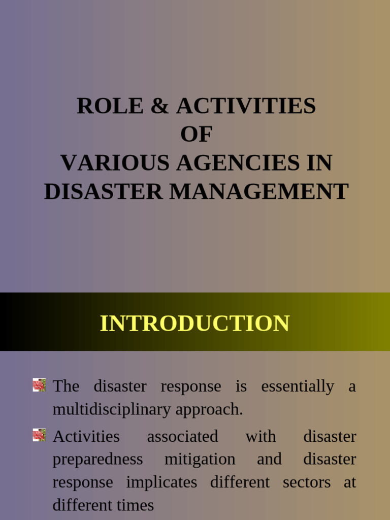 Roles of Agencies in Disaster Management | PDF