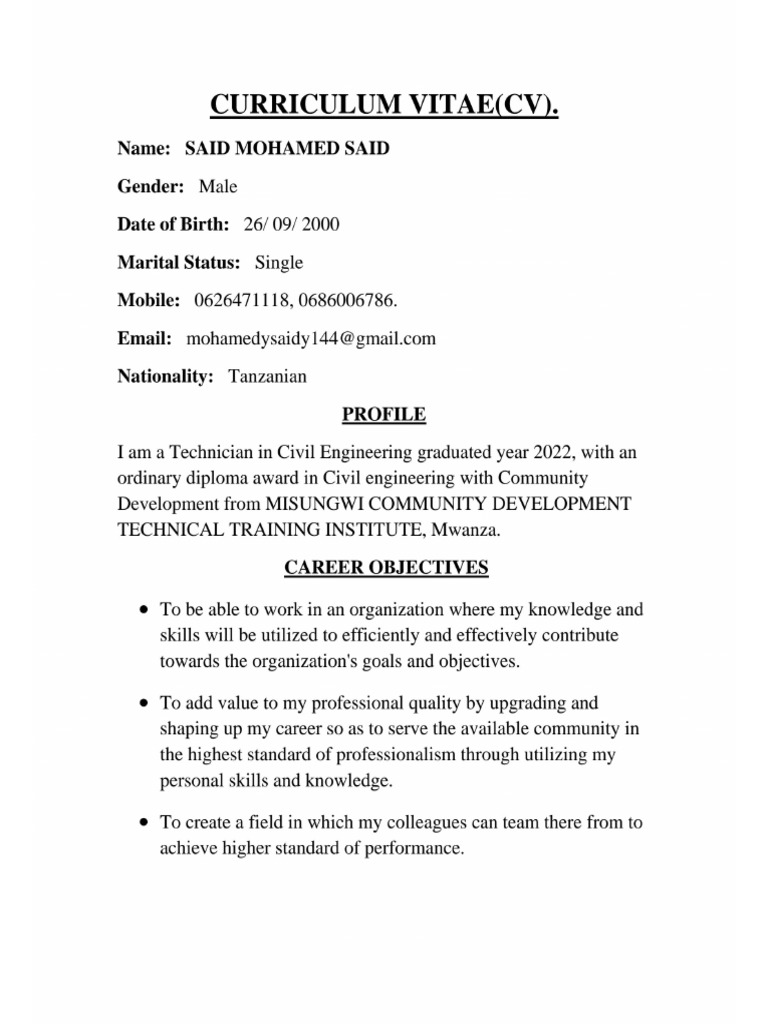 Said M Said Updated CV | PDF