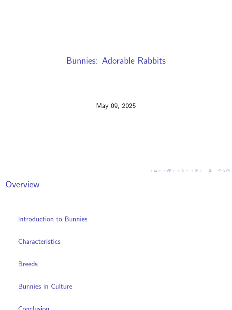 Bunnies: Adorable Rabbits | PDF