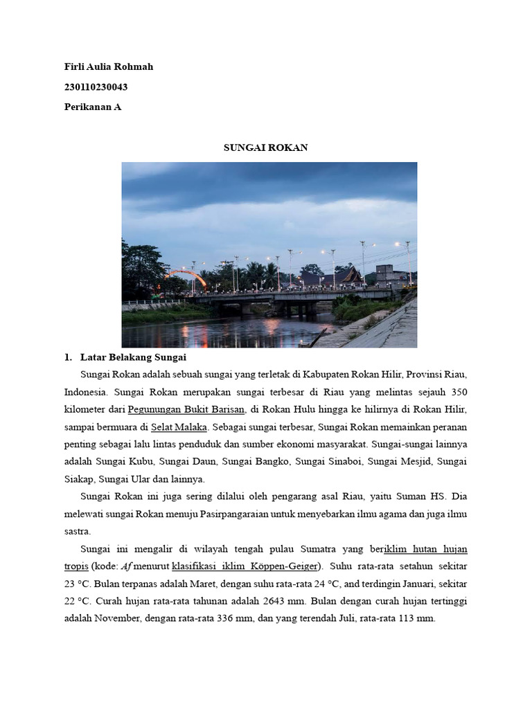 Sungai Rokan: Ekonomi dan Ekologi Riau | PDF