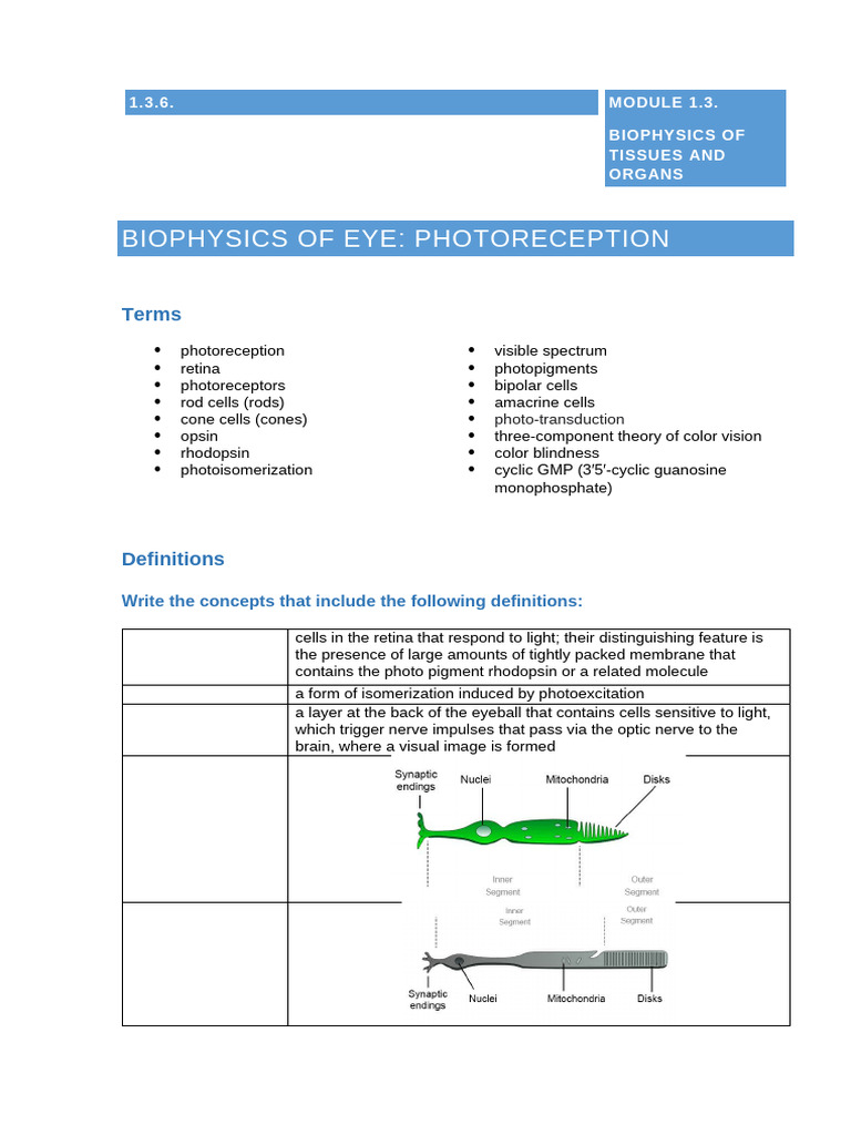 Biophysics of Eye: Photoreception Explained | PDF | Eye | Senses