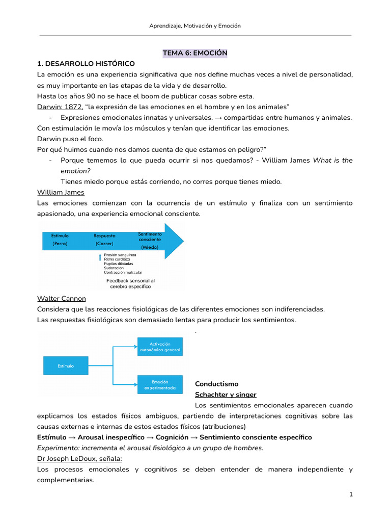 Emoción: Definición y Teorías Clave | PDF | Las emociones ...