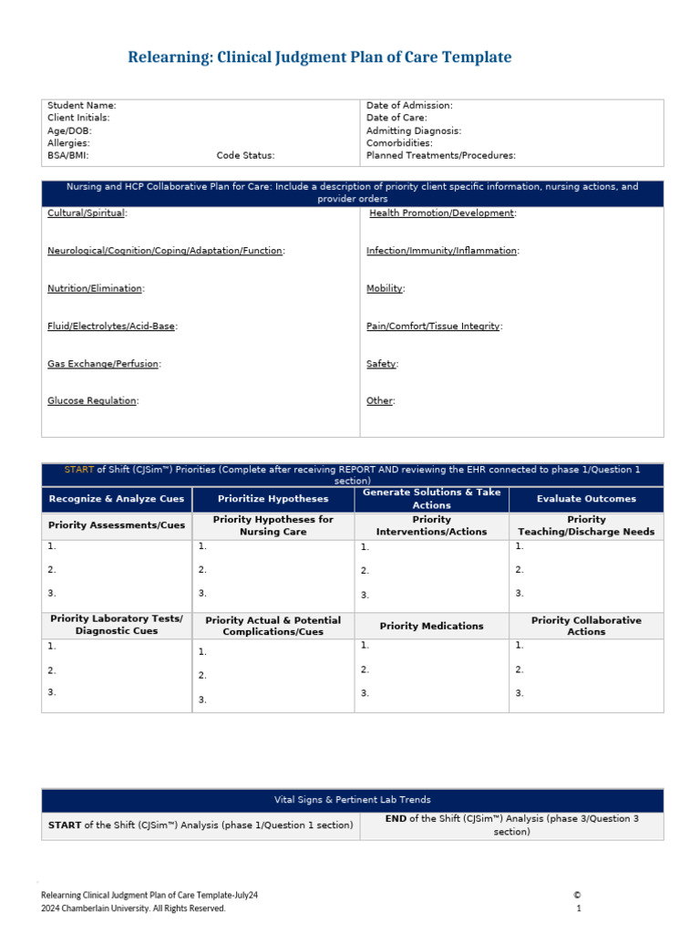 Clinical Judgment Care Plan Template | PDF | Medical Diagnosis | Hypothesis