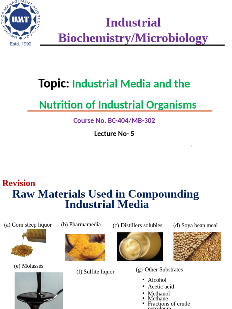 5 Lecture 5 BC 20241108 | PDF | Plasmid | Molecular Cloning