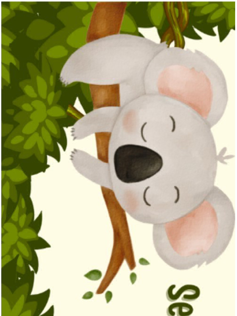 Koala | PDF