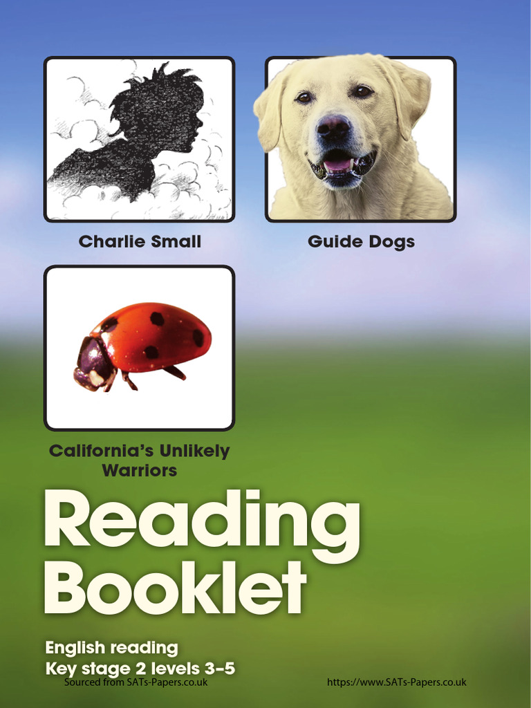 Key Stage 2 Reading: Charlie Small & Guide Dogs | PDF | Coccinellidae