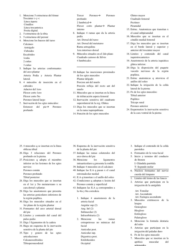 Test de Anatomia | PDF | Anatomía | Anatomía humana