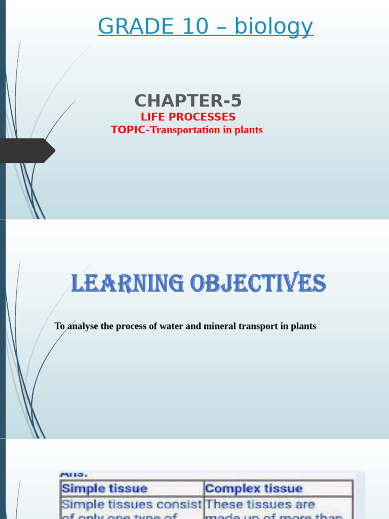 Plant Water Transport Processes | PDF | Botany | Biology