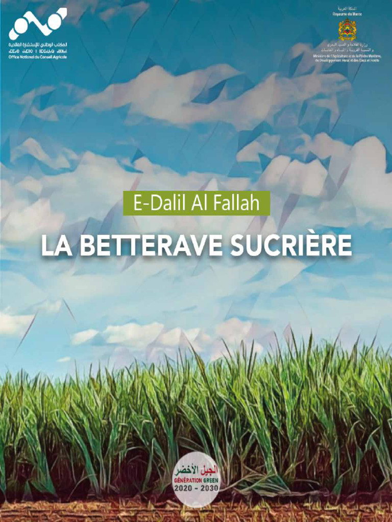 Exigences et gestion de la betterave sucrière | PDF | Betterave ...