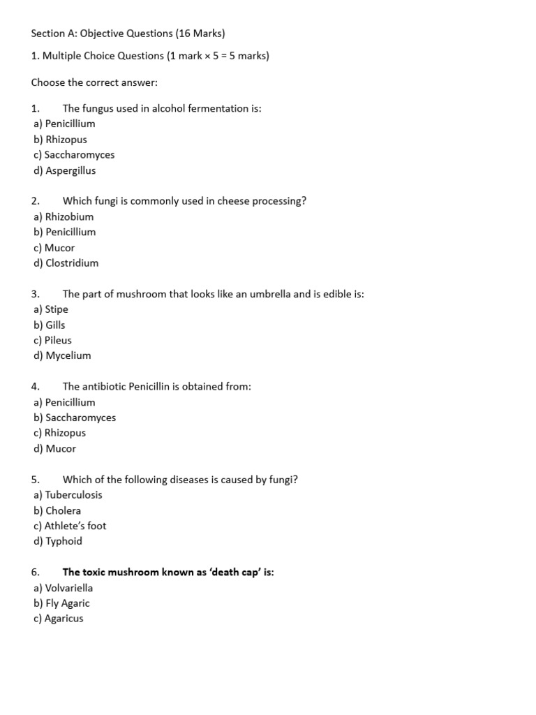 Fungi: Questions and Answers Guide | PDF | Fungus | Edible Mushroom