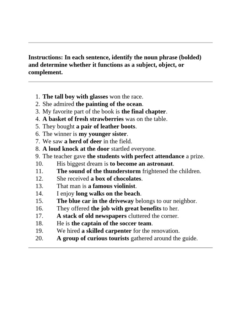 Noun Phrase Functions in Sentences | PDF