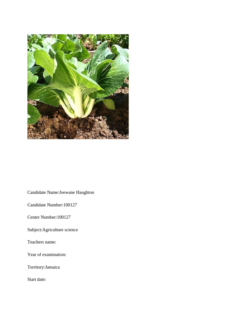 Joewane Haughton Crop Production SBA | PDF | Tillage | Fertilizer