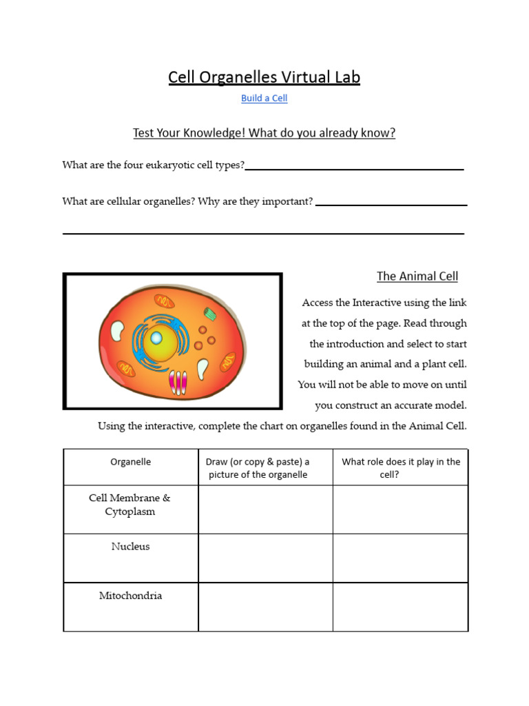 Gabriel Grant - Cell Organelles Virtual Lab | PDF | Cell (Biology ...