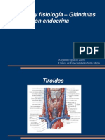 anatomia-glandulas-endocrinas