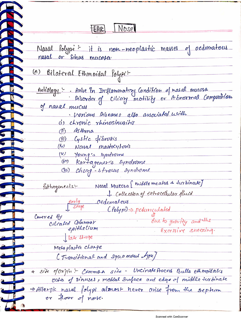 ENT Notes | PDF