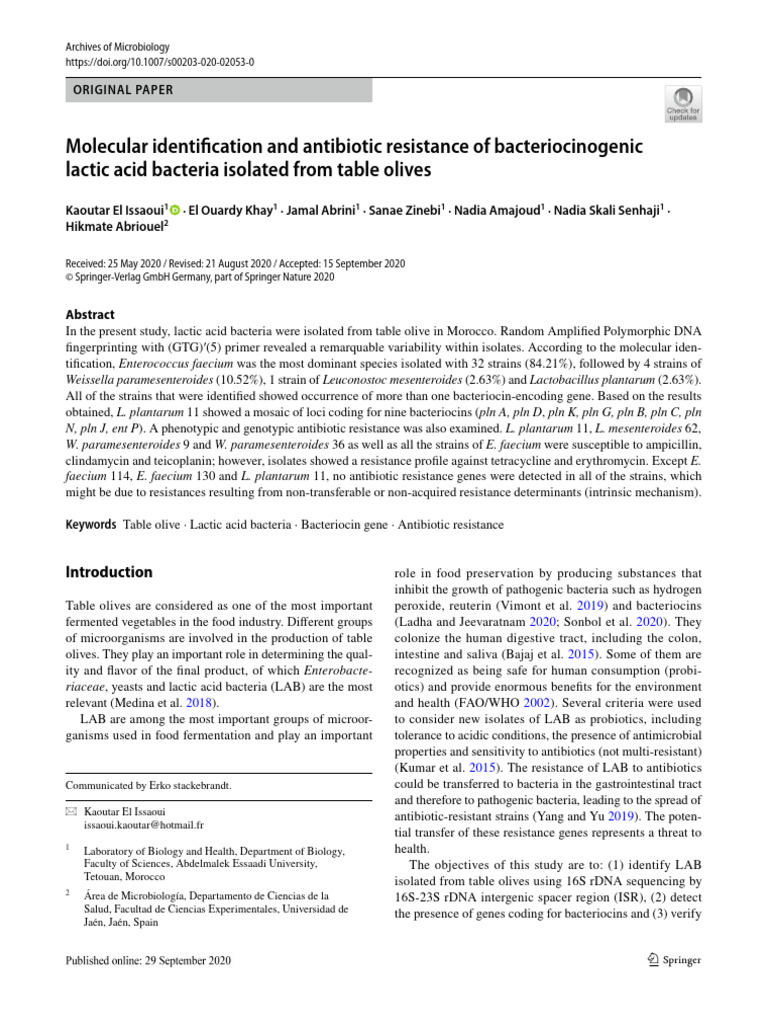 Molecular Identifcation and Antibiotic Resistance of Bacteriocinogenic ...