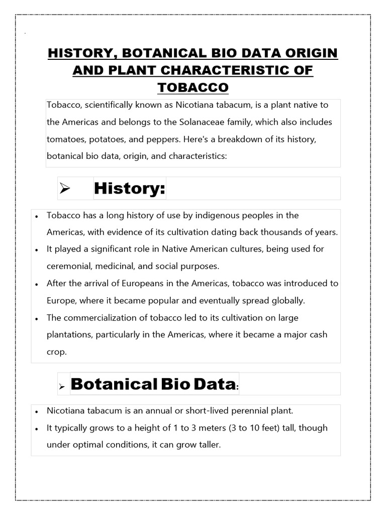 udta panchi tobacco near me udta panchi tobacco price in India 2025