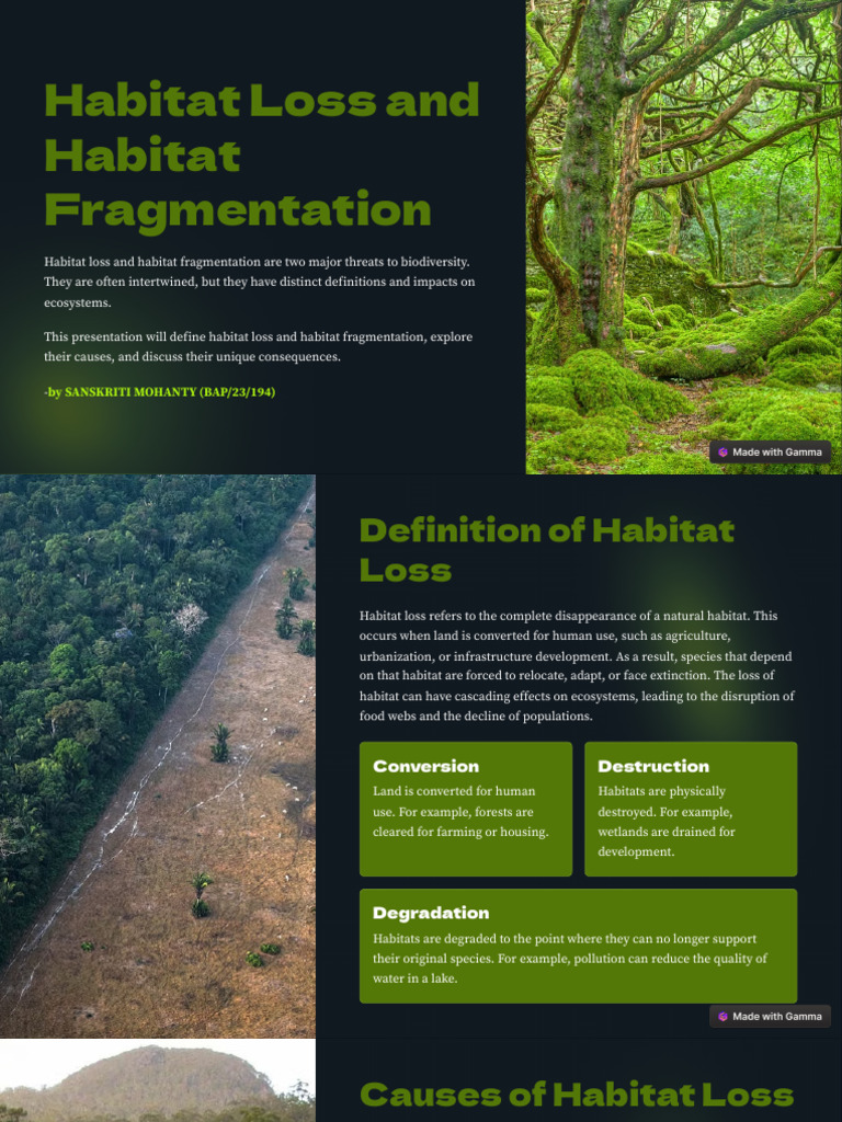 Habitat Loss vs. Fragmentation Explained | PDF | Habitat Destruction ...