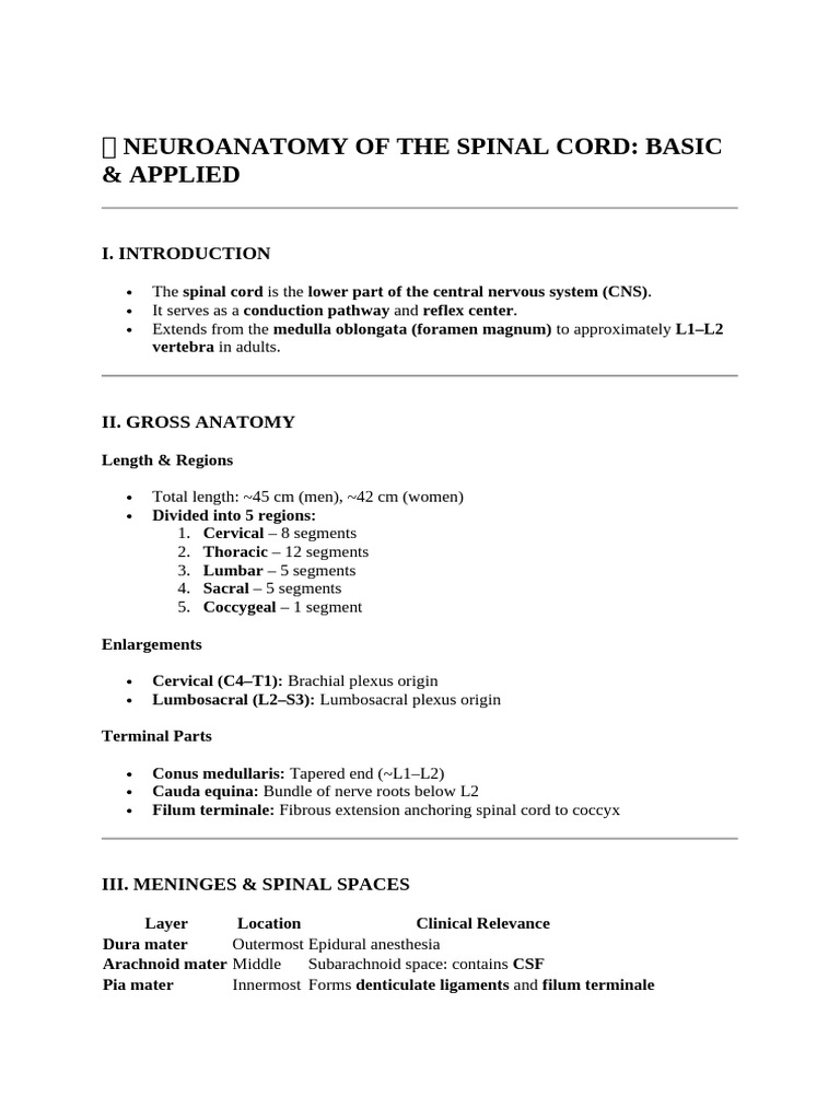 Neuroanatomy of the Spinal Cord Overview | PDF | Spinal Cord | Nervous ...