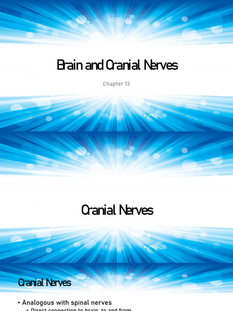 Overview of Cranial Nerves and Brainstem | PDF | Brainstem | Neuroscience