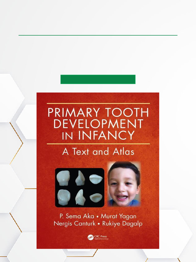 Primary Tooth Development Atlas | PDF | Human Tooth | Tooth