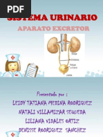 EXPOSICION_SISTEMA_URINARIO[1]