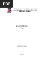 Relatório marly extração