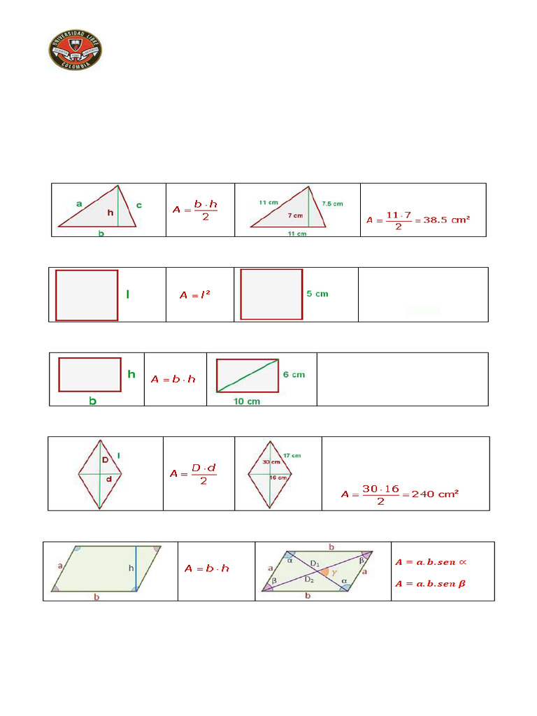 Taller 7 Guia Euclidiana 24A | PDF | Geometría | Matemáticas