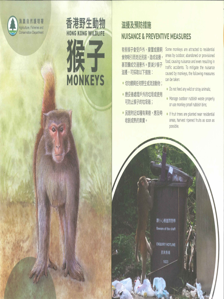 Leaflet Monkeys | PDF