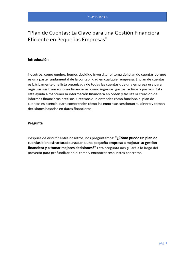 Plan de Cuentas para Pequeñas Empresas | PDF