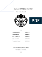 Download Makalah DNA RNA Dan SP by Aini Hidayah SN86709868 doc pdf