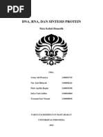 Download Makalah DNA RNA Dan SP by Aini Hidayah SN86709868 doc pdf