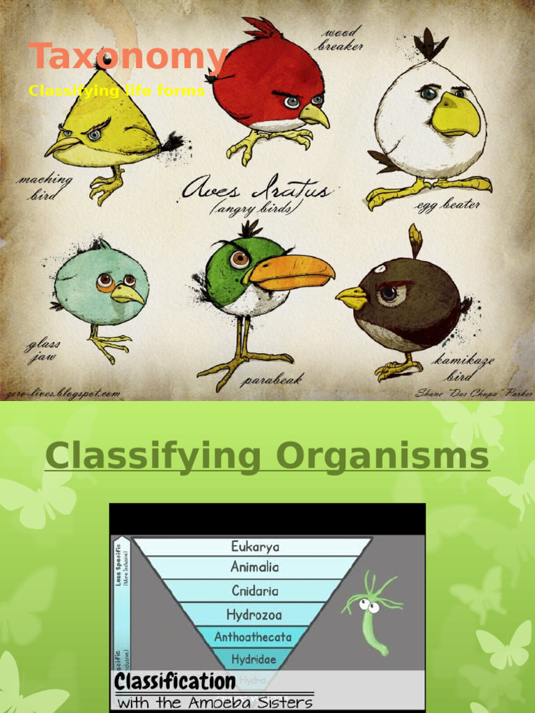 B1L2 - Taxonomy - Lesson | PDF | Eukaryotes | Bacteria