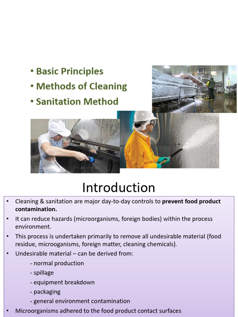 Cleaning Process | PDF