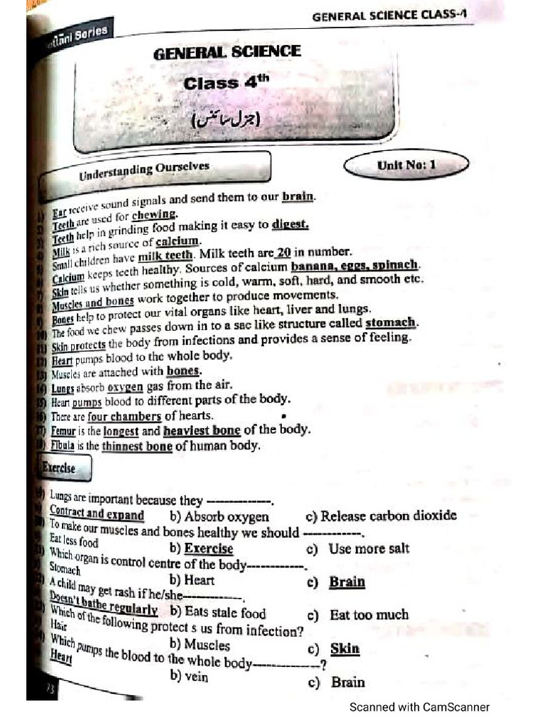 General Science Class 4 To 8 | PDF