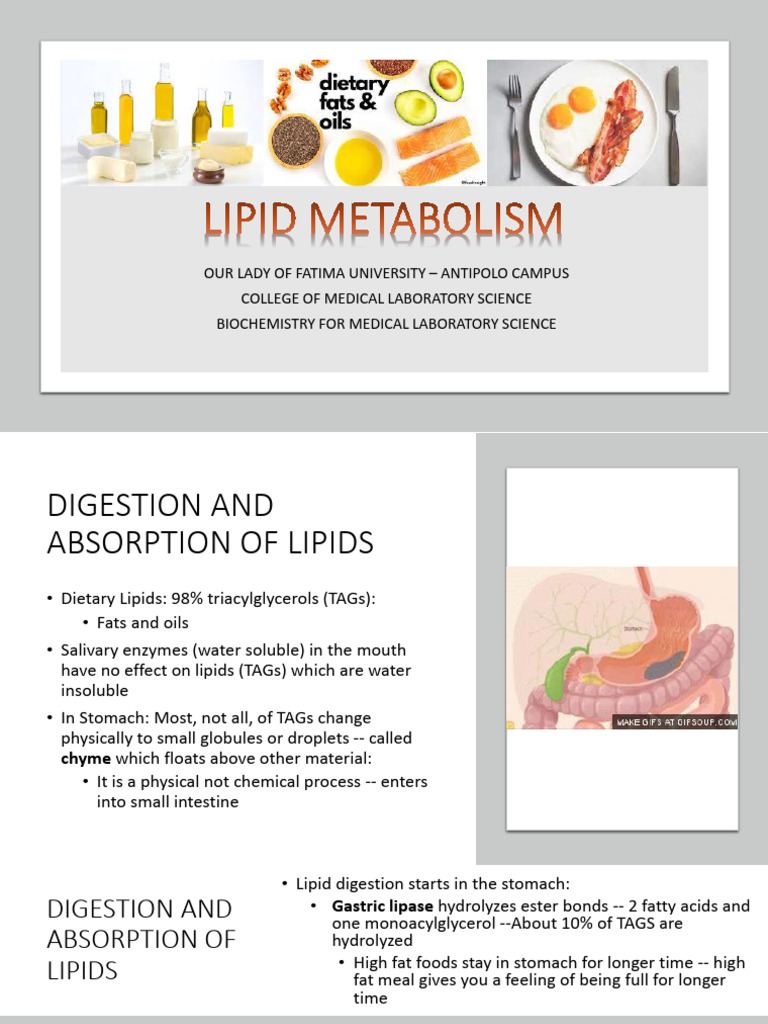Lipid Metabolism and Digestion Overview | PDF | Biosynthesis | Fatty Acid