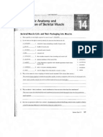 Microscopic Anatomy and Organization of Skeletal Muscle 14 & 15