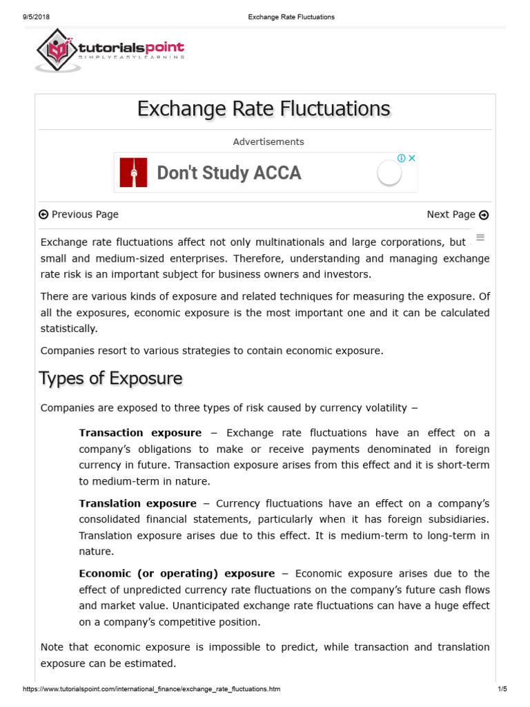 Understanding Exchange Rate Risks | PDF | Exchange Rate | Financial Risk