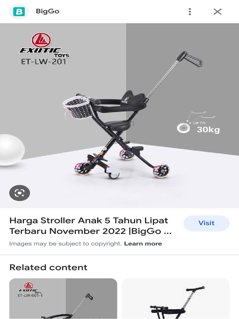 Stroller Untuk Travelling Anak 5 Tahun - Google Search | PDF