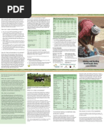 Mixing Dairy Concentrates