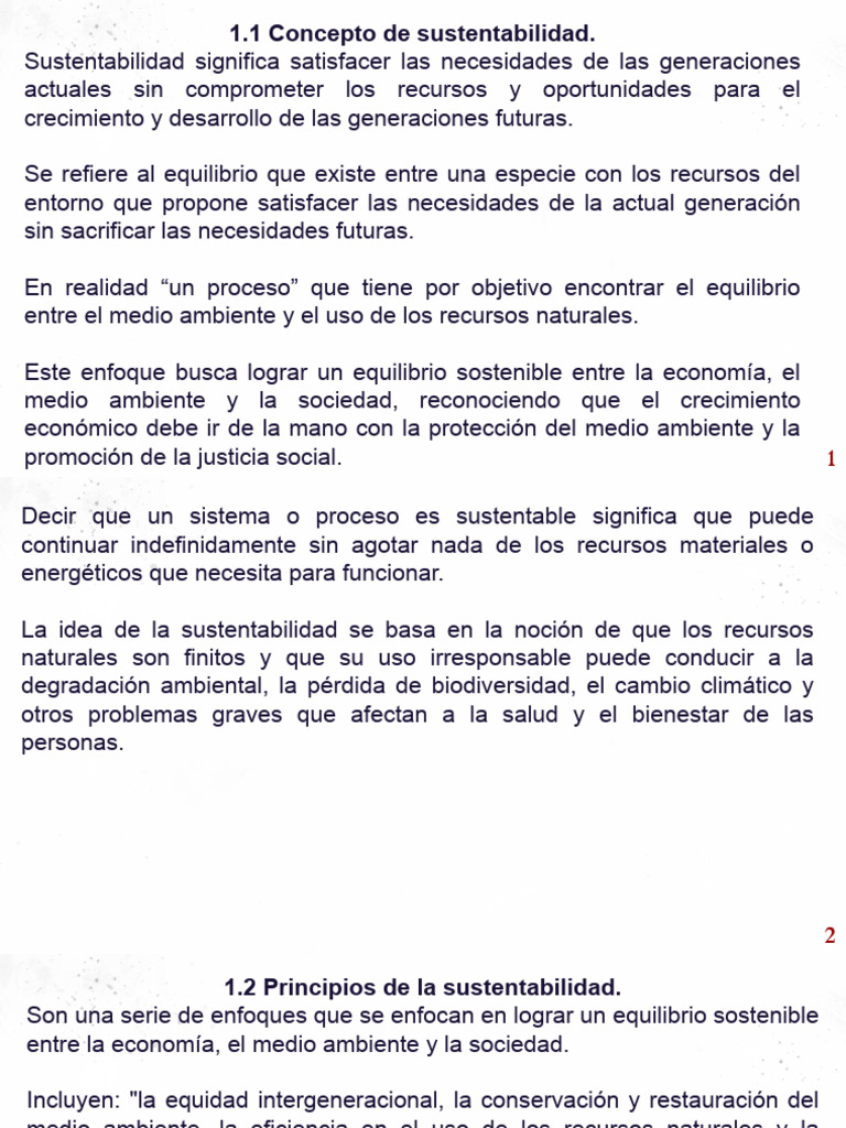 Principios y dimensiones de la sustentabilidad | PDF | Sustentabilidad ...